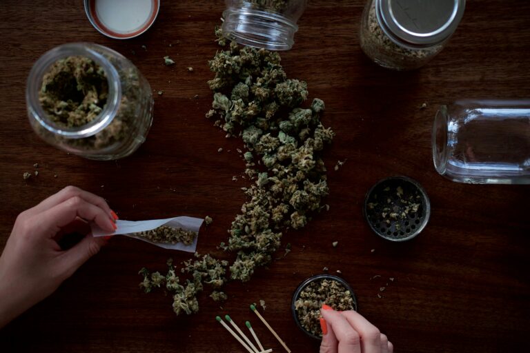 Cannabis plant leaves representing cannabis education, cannabinoids and botanical research